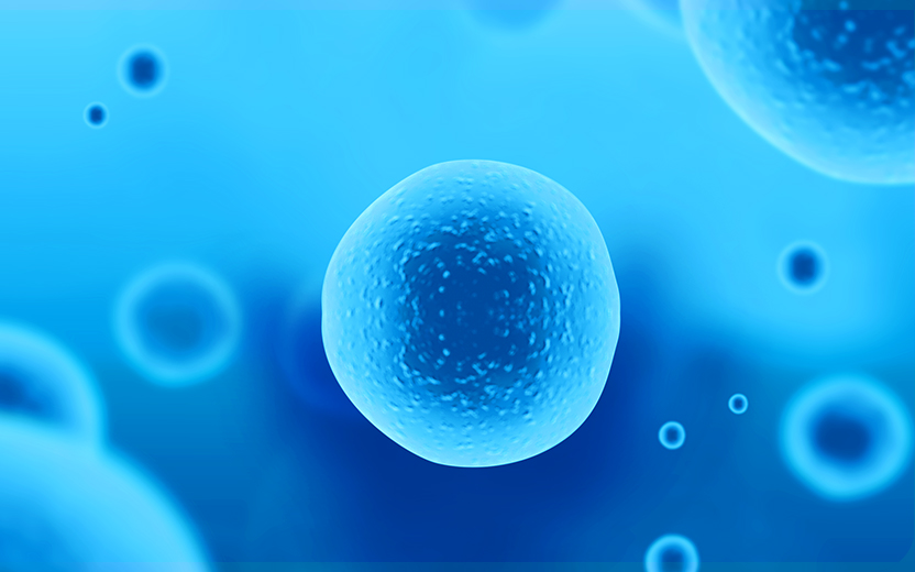 穩(wěn)定細(xì)胞株構(gòu)建